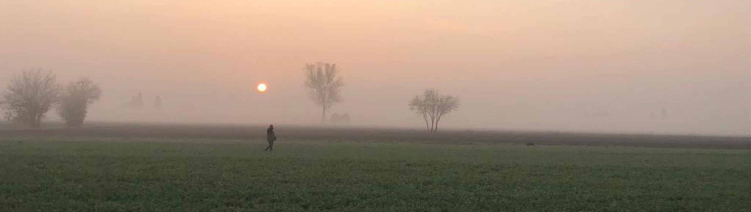 La caccia in pianura