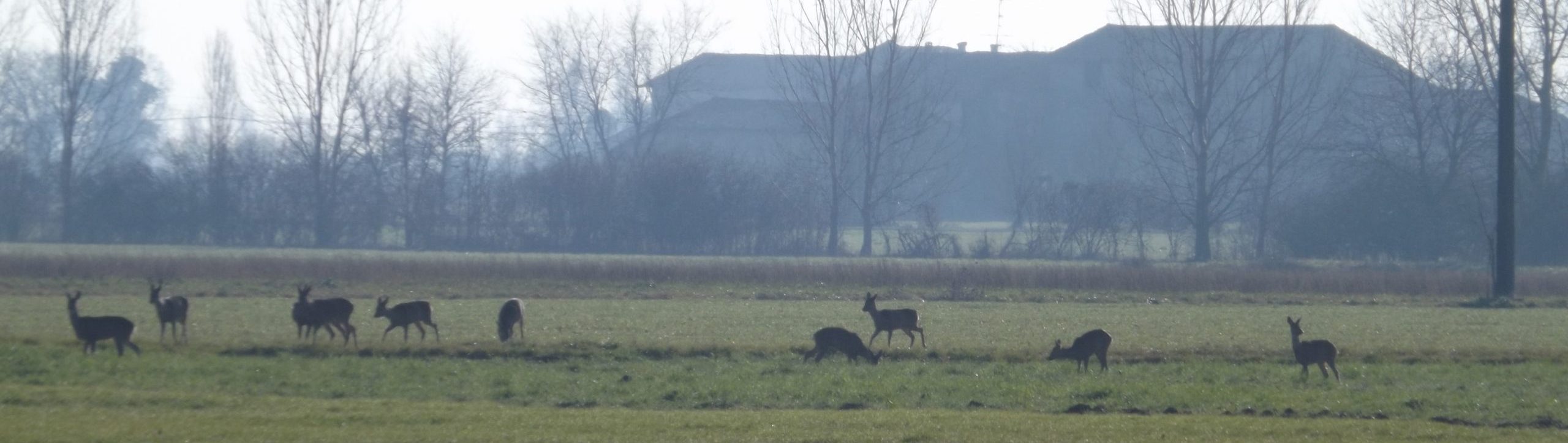 La caccia in Pianura